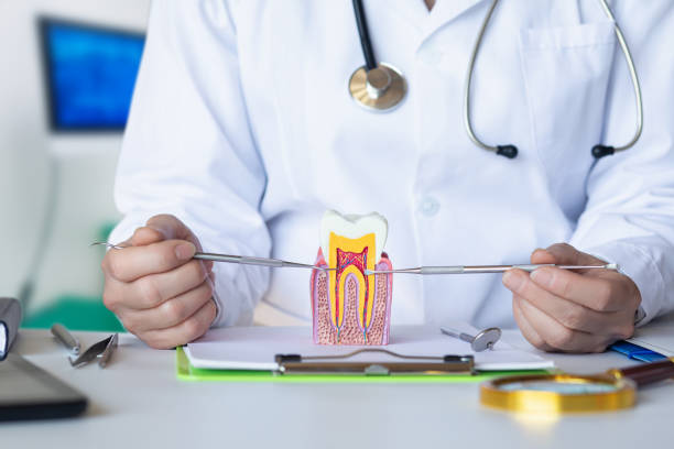 Best Emergency Dental Care for Broken or Chipped Teeth in Hanscom Af, MA